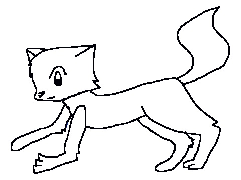 First Cat Runcycle!
