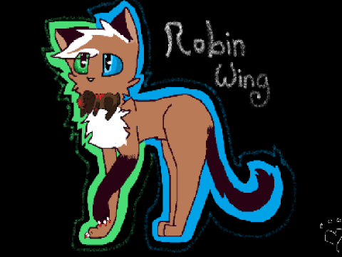 Robin wing