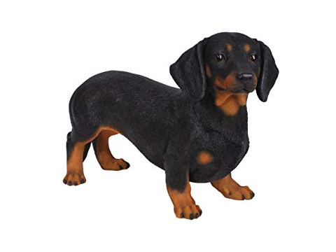 dogs grow