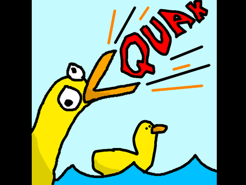 Duck 