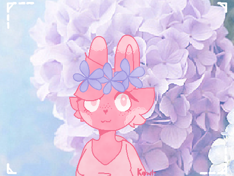 @buniichan <33