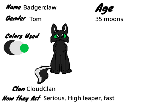 Badgerclaw- CloudClan
