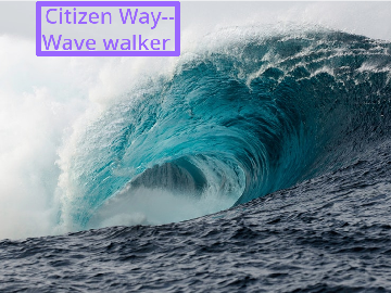 Citizen Way-Wave Walker