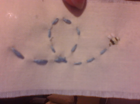 My fren made this :P