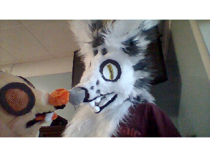 fursuit friday!