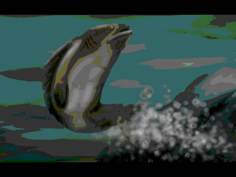 fish drawing