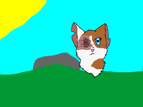 Warrior Cats CC remix