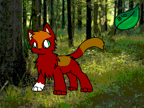 Warriorkit/Warriorpaw/Warriorheart/Warriorstar