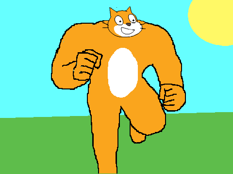A cat run