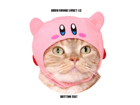 kirby ate a cat lol
