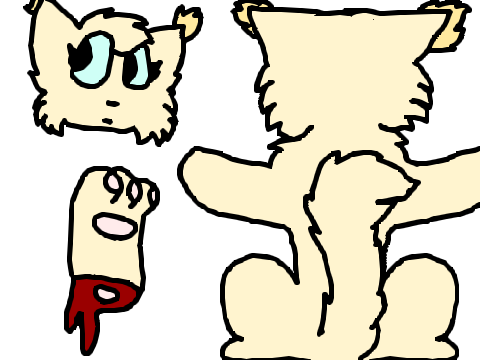 The Stars Aligned Ocs