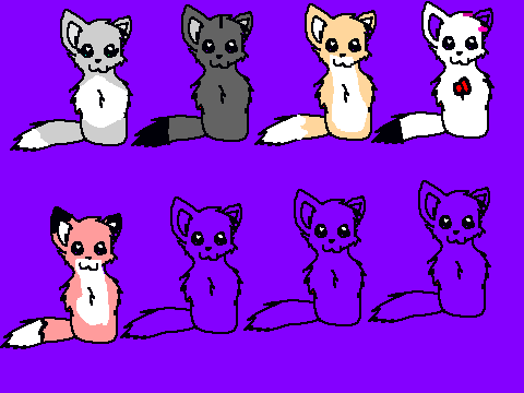 Join the cute overload cats