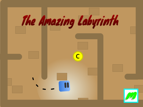 The Amazing Labyrinth