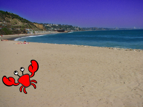 crab