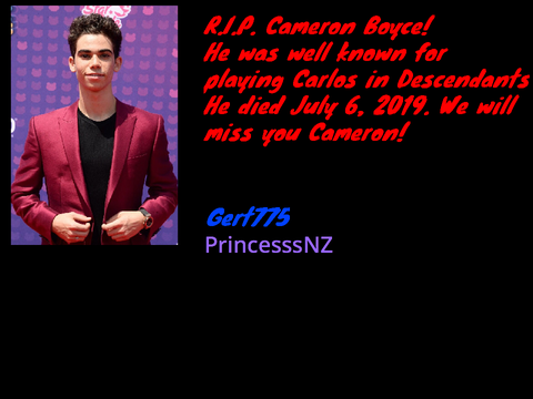 Remix and Sign for Cameron Boyce remix
