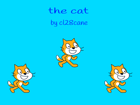 the cat