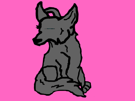 Wolf Drawing!