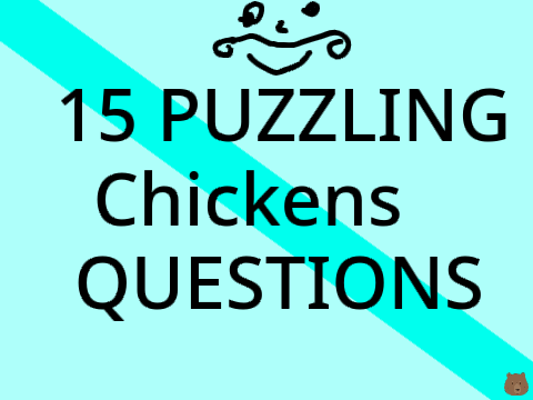 15 Puzzling Questions anwers