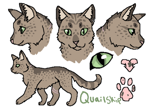 Quailskip | Four Clans | 