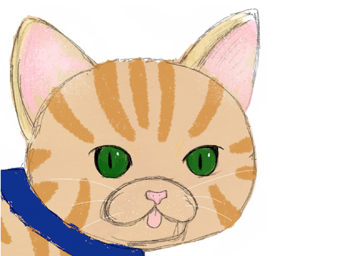 Cat AT