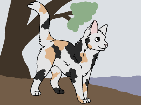 Robinkit of Riverclan | Four Clans |