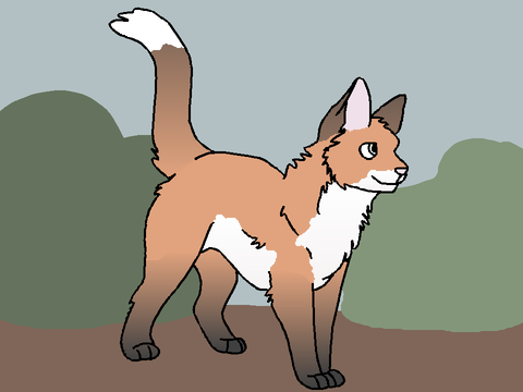 Foxwhisker of Riverclan | Four Clans | DEAD 