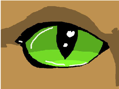 Cat Blink animation