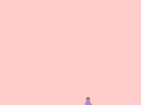 Water bottle flip