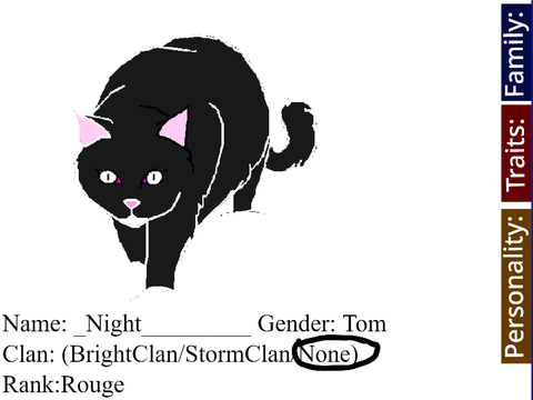 Adult Cat Advanced Bio remix (night)