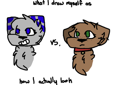 drawing vs. reality