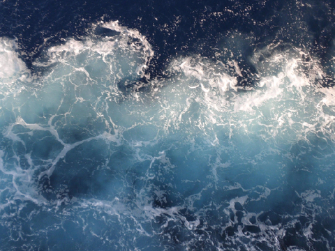 ❈ OCClan Game Sign-Ups ❈ Waterkit ❈ 