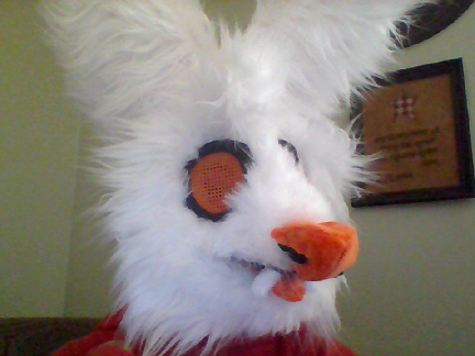 fursuit updates
