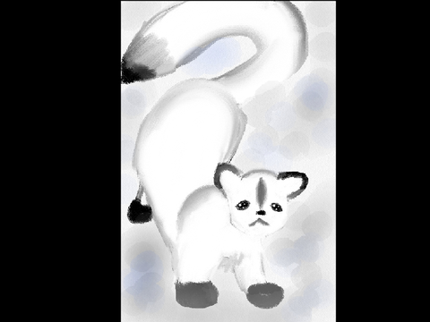 Art contest ENTRY