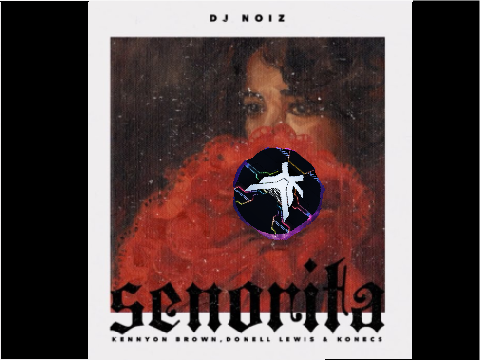 DJ_MUSIC-Senorita REMIX remix remix