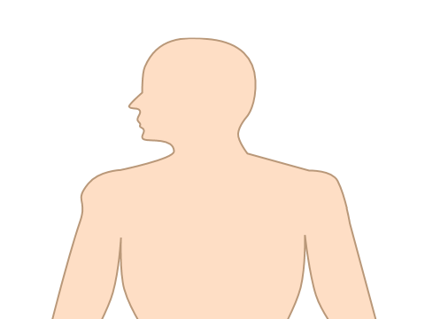 Breathing simulator