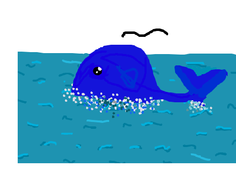 Whale animation