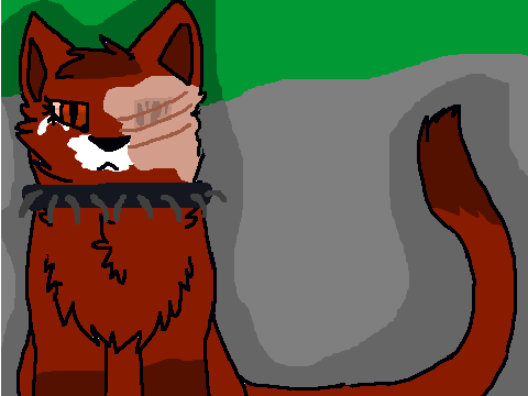coloring contest - cat open remix