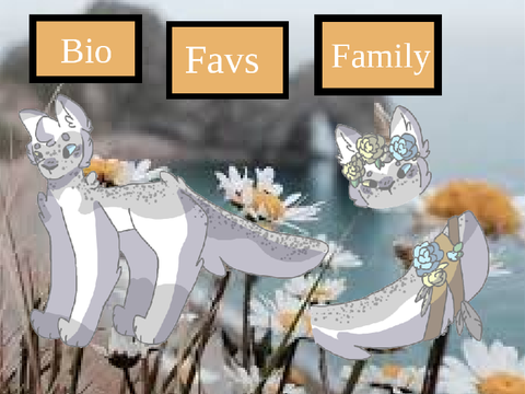 ❁ Mochi ❁