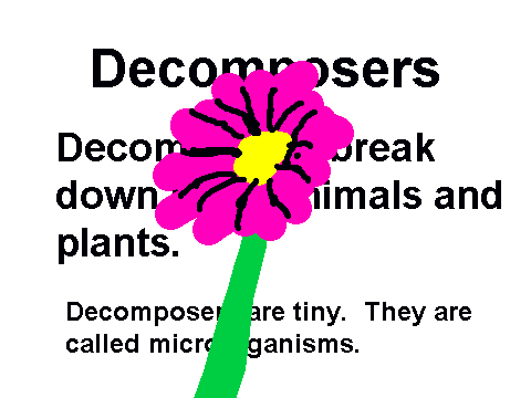 Decomposers