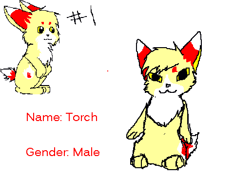 Adopted from Otterstar