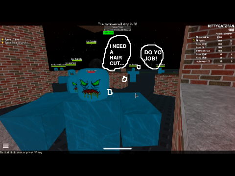 ME ON ROBLOX!