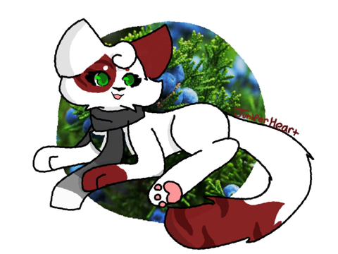 Juniper Heart