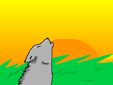 Wolf :3
