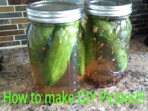 How to make DIY Pickles!