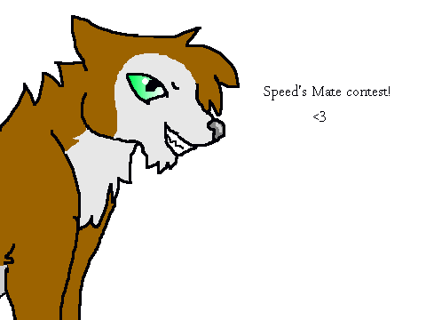 Speed's Mate Contest