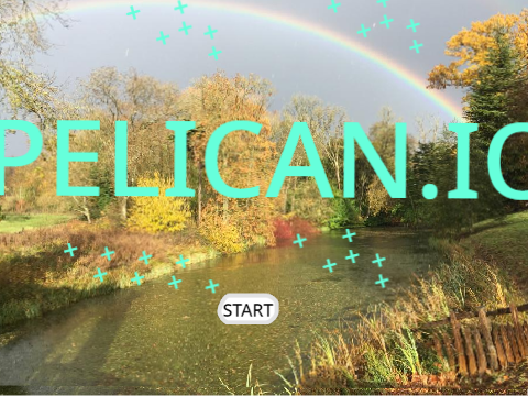 pelican.io - the floor's lava - collab