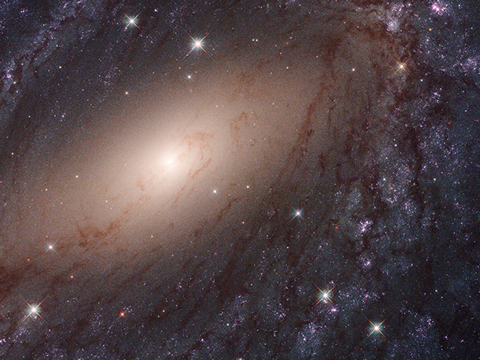 Random Cat Floating In Space remix