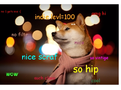 Doge Slideshow 