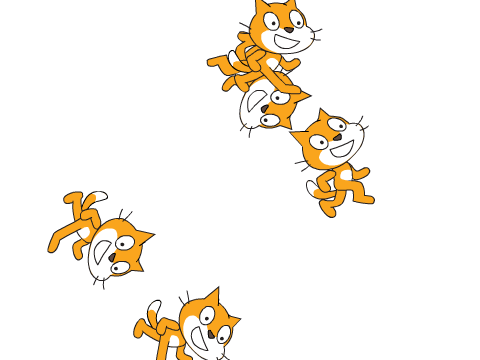 cat rain