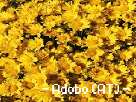 - Adobo ((AT)) -